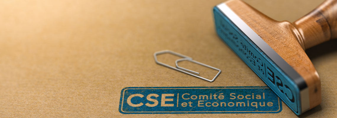 Comité Social et Economique