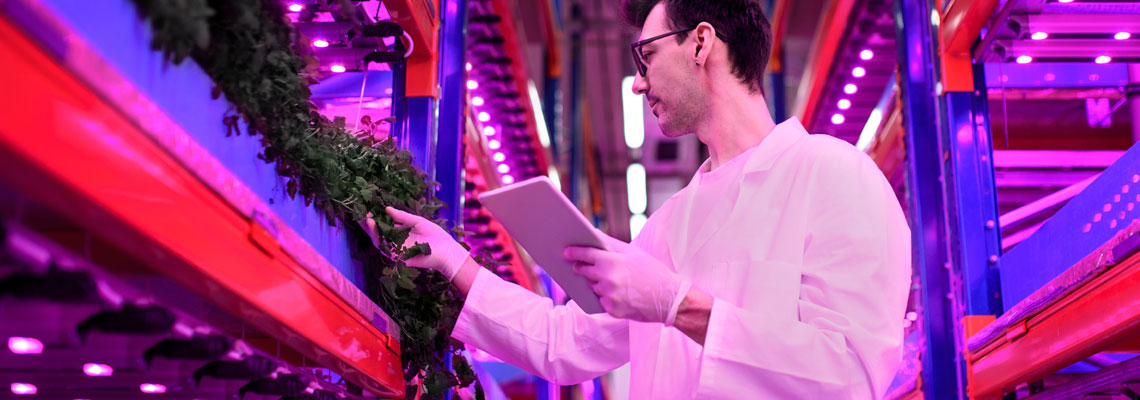 éclairage LED pour la culture indoor